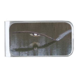 Bald Eagle in Flight Silver Finish Money Clip