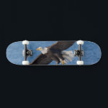 Bald eagle in flight skateboard<br><div class="desc">Bald eagle,  Homer,  Southcentral Alaska</div>