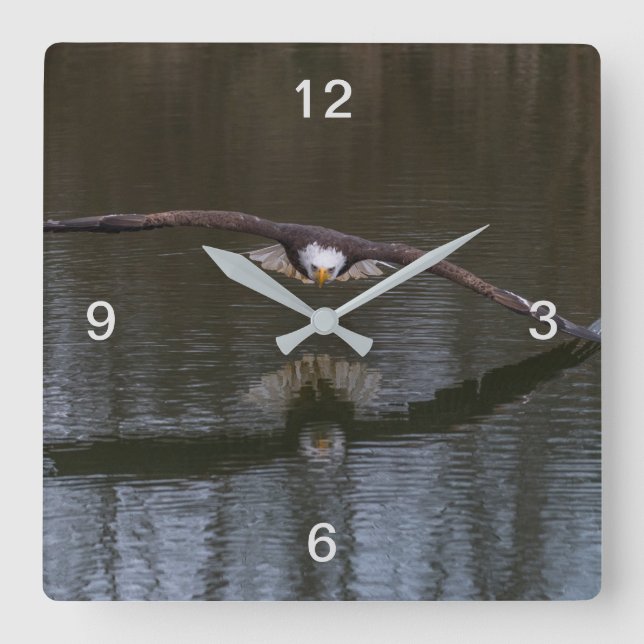 Bald Eagle in Flight Square Wall Clock (Front)