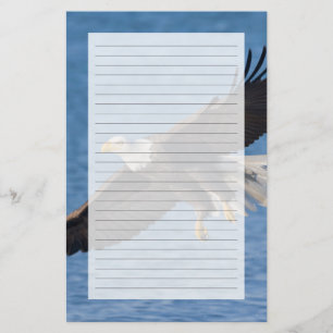 Bald eagle in flight stationery