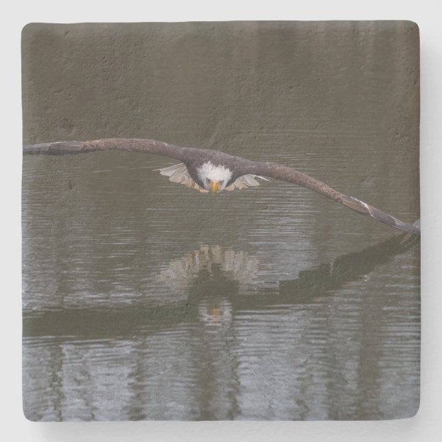 Bald Eagle in Flight Stone Coaster (Front)