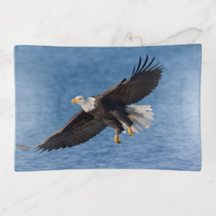 Bald eagle in flight trinket tray