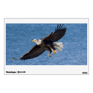 Bald eagle in flight wall decal