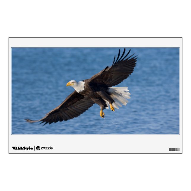 Bald eagle in flight wall decal (Front)