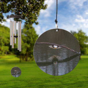 Bald Eagle in Flight Wind Chime