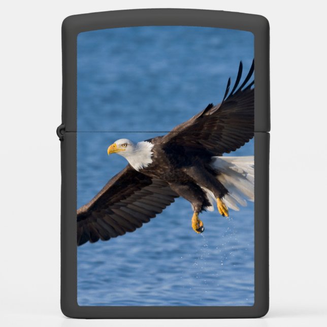 Bald eagle in flight zippo lighter (Front)