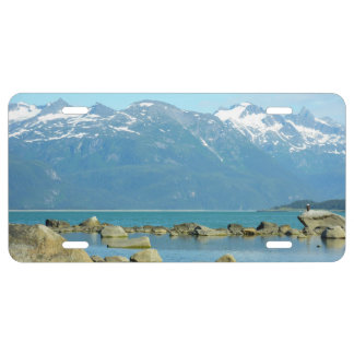 Bald Eagle in Skagway Alaska License Plate