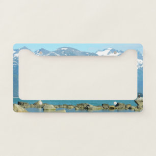 Bald Eagle in Skagway Alaska License Plate Frame