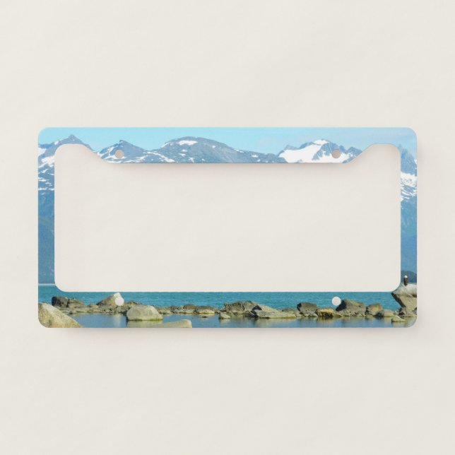 Bald Eagle in Skagway Alaska License Plate Frame (Front)