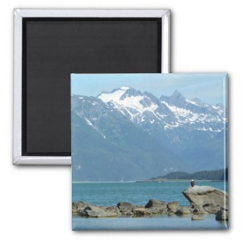 Bald Eagle In Skagway Alaska Magnet by mlewallpapers at Zazzle