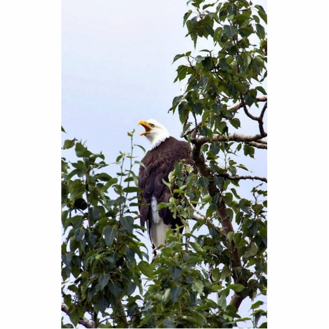 Bald Eagle in Tree Statuette (Front)