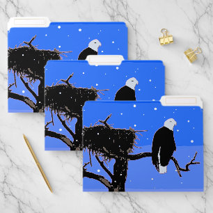Bald Eagle in Winter - Original Wildlife Art File Folder