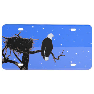 Bald Eagle in Winter - Original Wildlife Art License Plate