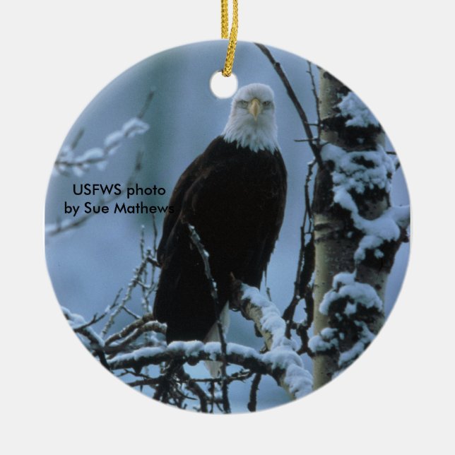 Bald Eagle in winter snow Ceramic Ornament (Front)