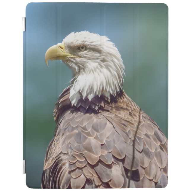 Bald Eagle iPad Smart Cover (Front)