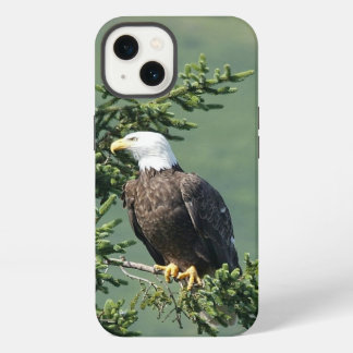 Bald Eagle iPhone 13 Case