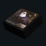 Bald Eagle Jewelry Box<br><div class="desc">An impressive photo of a majestic adult bald eagle. Photo by Joshua J. Cotten.</div>