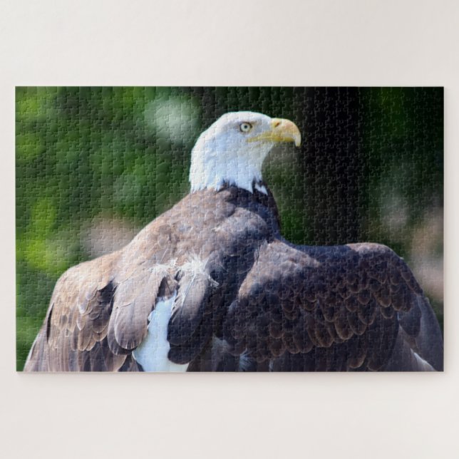 Bald Eagle Jigsaw Puzzle (Horizontal)