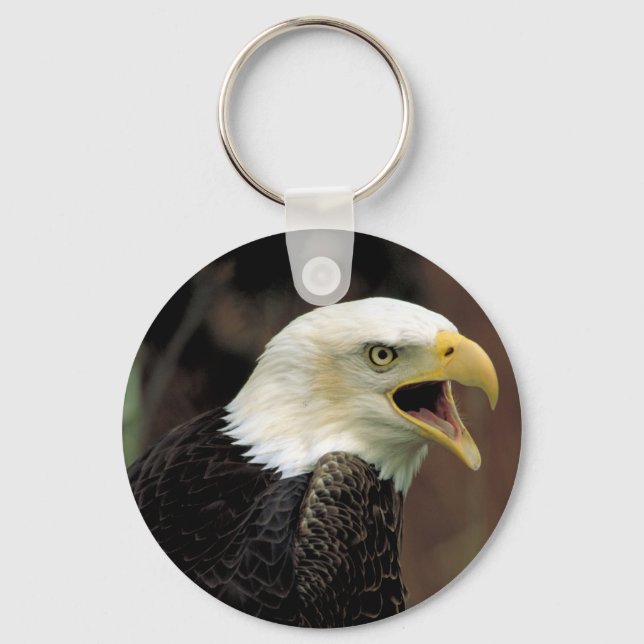 Bald Eagle Keychain (Front)