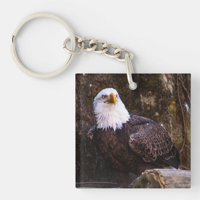 Bald Eagle  Keychain (Front)