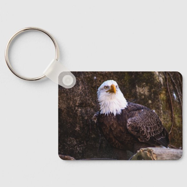 Bald Eagle Keychain (Back)