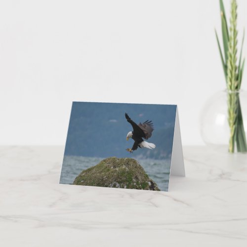 Bald Eagle Landing Card