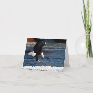 Bald Eagle Landing On Ice Greeting Card