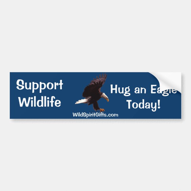 BALD EAGLE Landing Wildlife Support Bumper Sticker (Front)