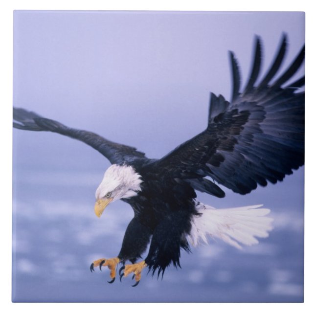 Bald Eagle Landing Wings Spread in a Storm, Ceramic Tile (Front)