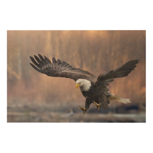 Bald Eagle landing Wood Wall Decor