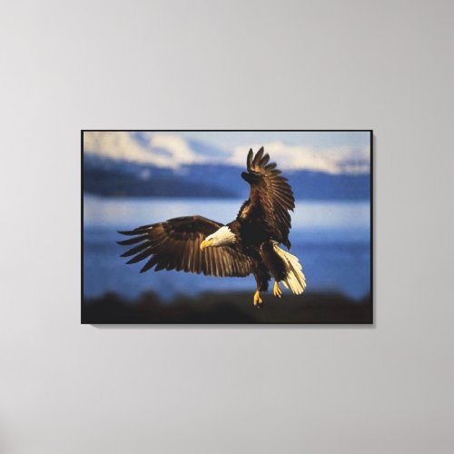 Bald Eagle Landing Wrapped Canvas Print