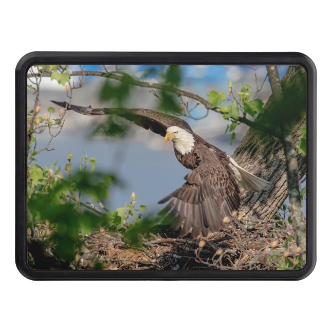 Bald Eagle leaving the nest Hitch Cover (Front)