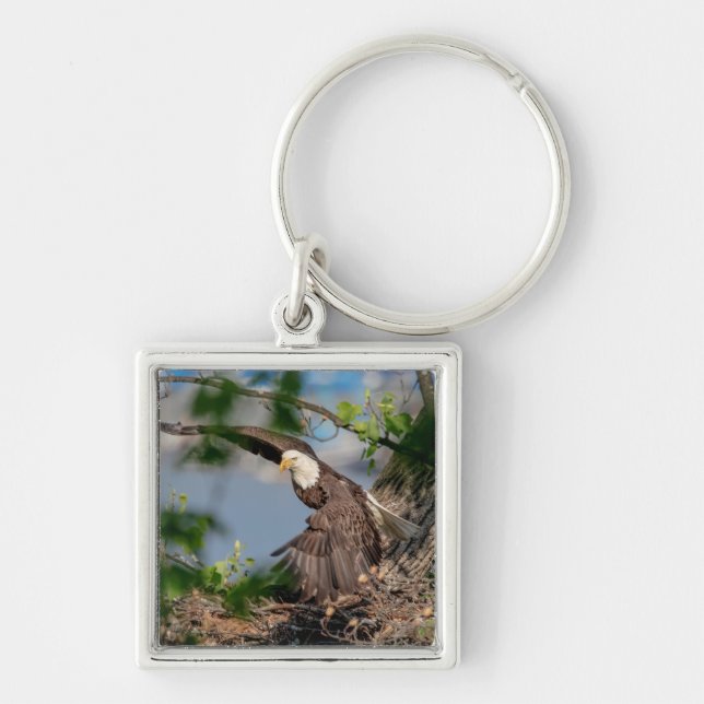 Bald Eagle leaving the nest Keychain (Front)