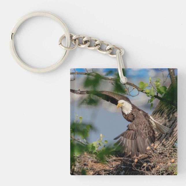 Bald Eagle leaving the nest Keychain (Front)