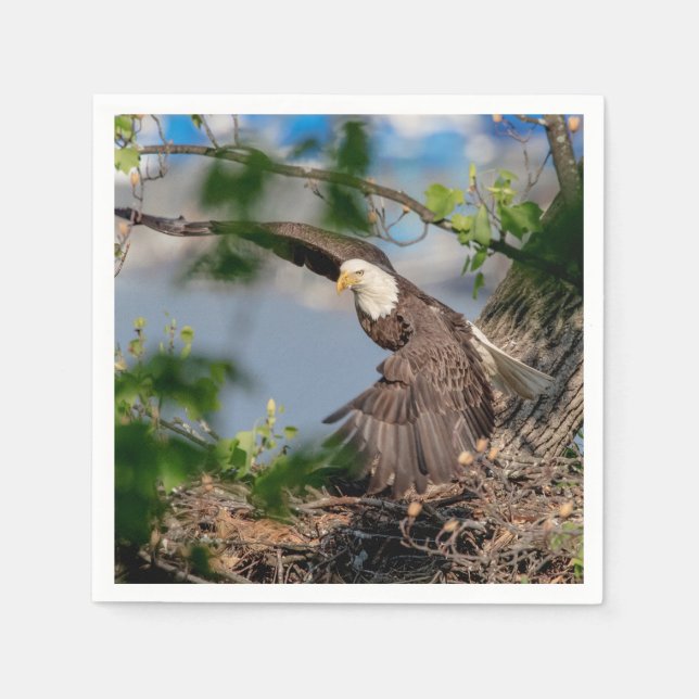 Bald Eagle leaving the nest Paper Napkins (Front)