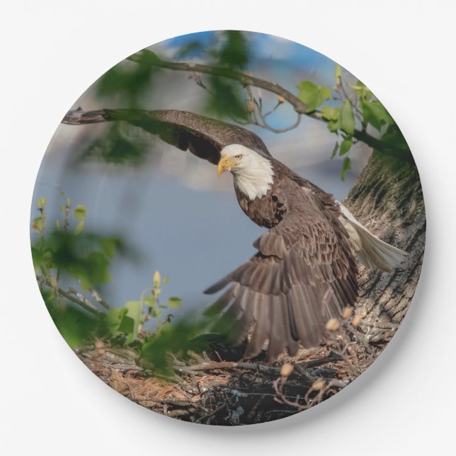 Bald Eagle leaving the nest Paper Plates (Front)