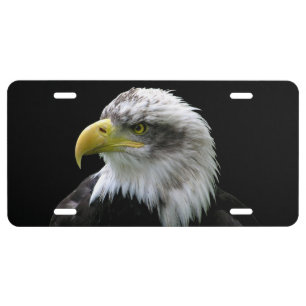 Bald Eagle License Plate