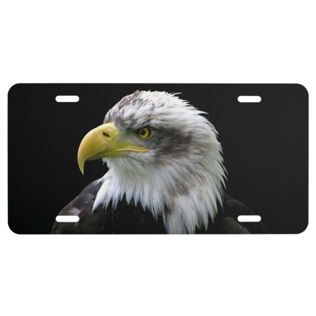 Bald Eagle License Plate (Front)