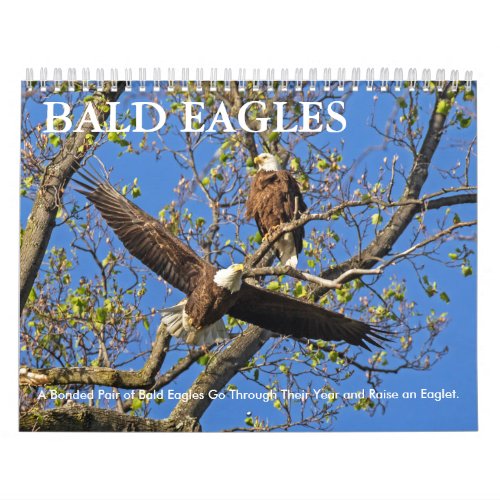 BALD EAGLE LIFE CALENDAR