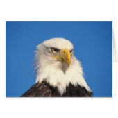 Bald Eagle Look (Front Horizontal)