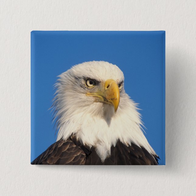 Bald Eagle Look Button (Front)