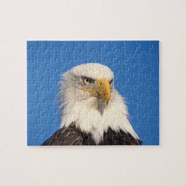 Bald Eagle Look Jigsaw Puzzle (Horizontal)