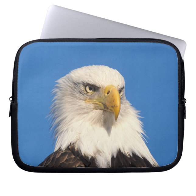 Bald Eagle Look Laptop Sleeve (Front)