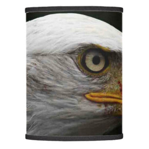 Bald Eagle lscnm Lamp Shade