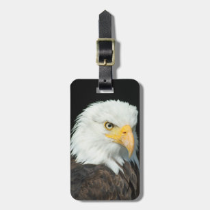 Bald eagle luggage tag