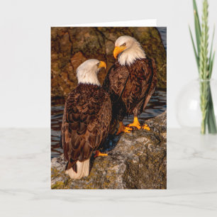 Bald Eagle Mates Thank You Card