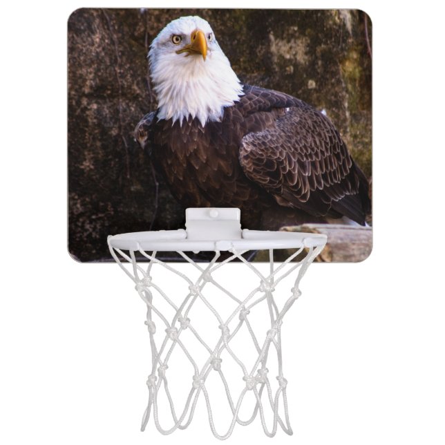 Bald Eagle Mini Basketball Hoop (Front)