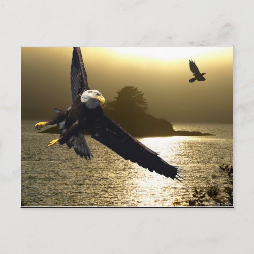 Bald Eagle Motivational Gifts Postcard