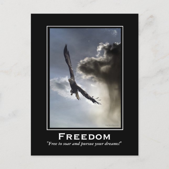 Bald Eagle Motivational Postcards (Front)