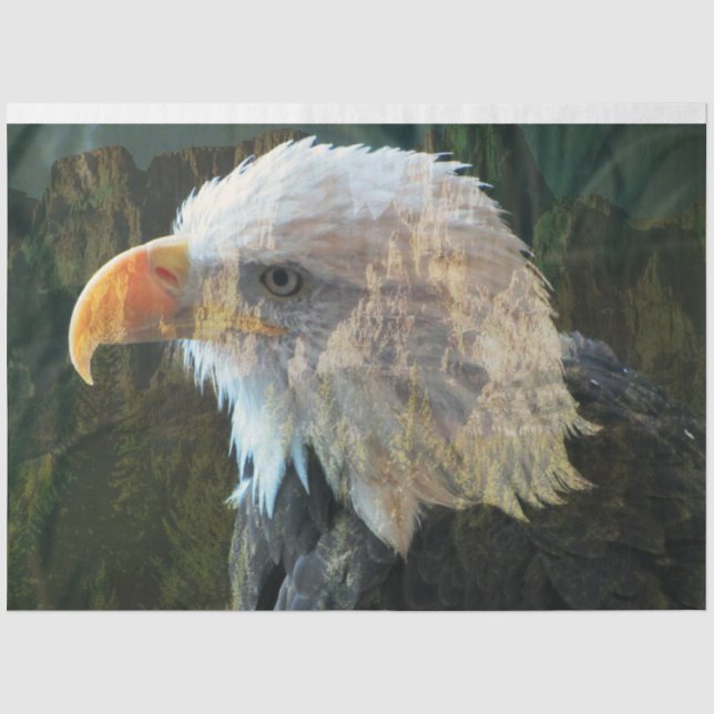 Bald Eagle Mountain Blend Tissue Paper (Front)